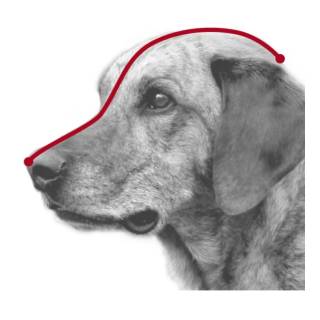 Trixie Kaganiec plastikowy L 32cm dla psa - Owczarek niemiecki, Labrador Retriever